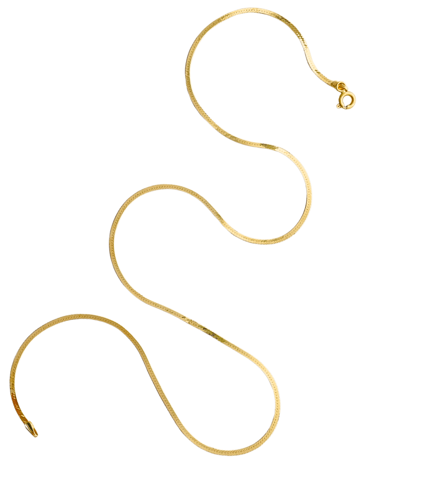 Rear View of Luxe Herringbone Chain in 18K gold Fixed Length 18k Yellow Gold with Hallmark Stamp Metal One Size 2.7gms